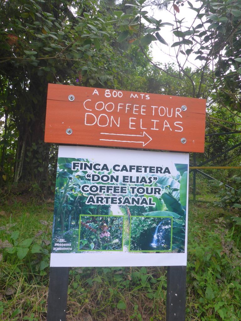 Don Elias organic coffee farm