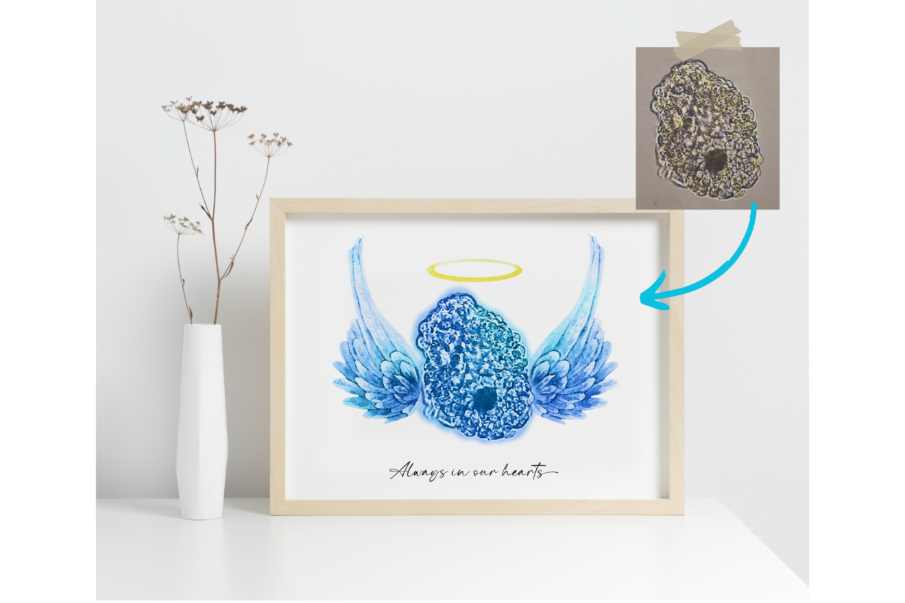 Custom IVF Embryo Digital Painting Memorial – Angel Wings and Halo ...