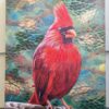 Cardinal, Original Oil Painting